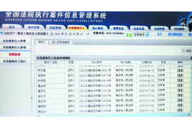 当阳为什么选择专业追讨公司来处理您的债务纠纷？